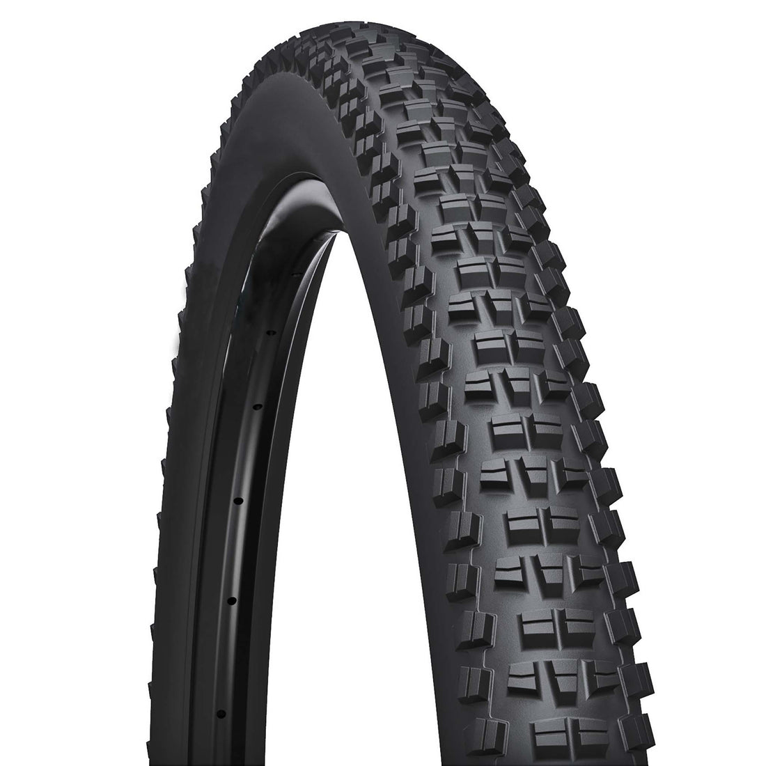 WTB Trail Boss TCS Tough/Fast SG1 IP+ E50 29x2.4