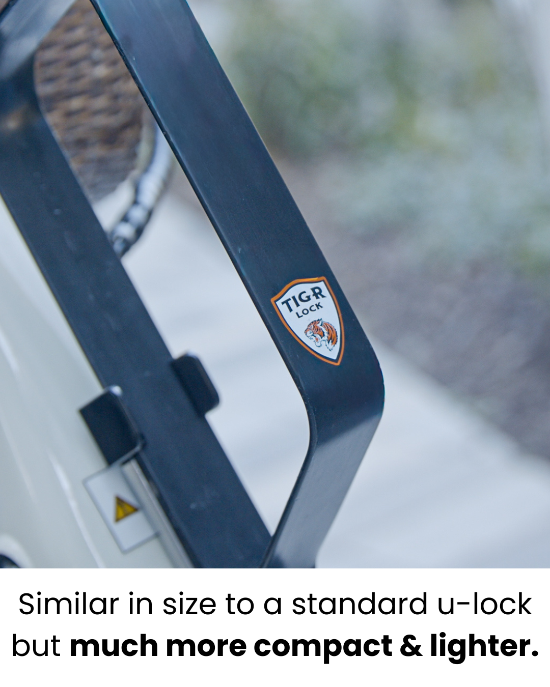 TIGR Mini+