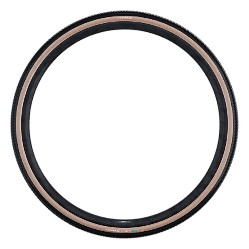 Schwalbe G-One R Tire - 700 x 45 Tubeless Folding BLK/Transparent Evolution Line Pro Addix Race