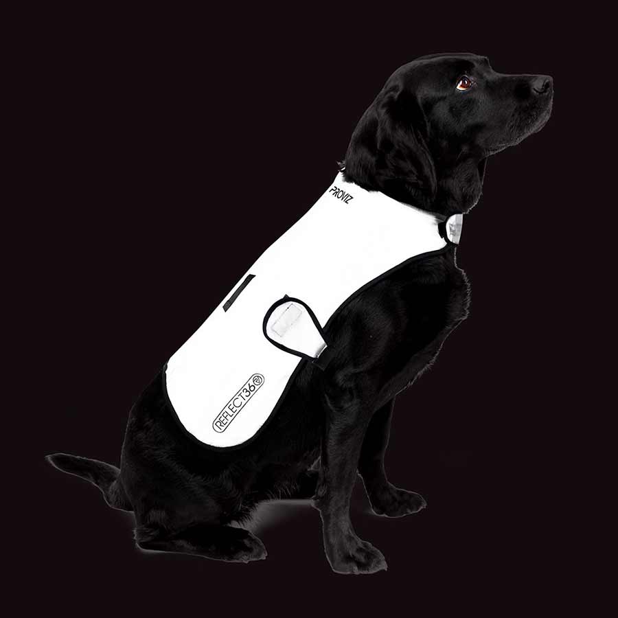Proviz Dog Cover Silver S