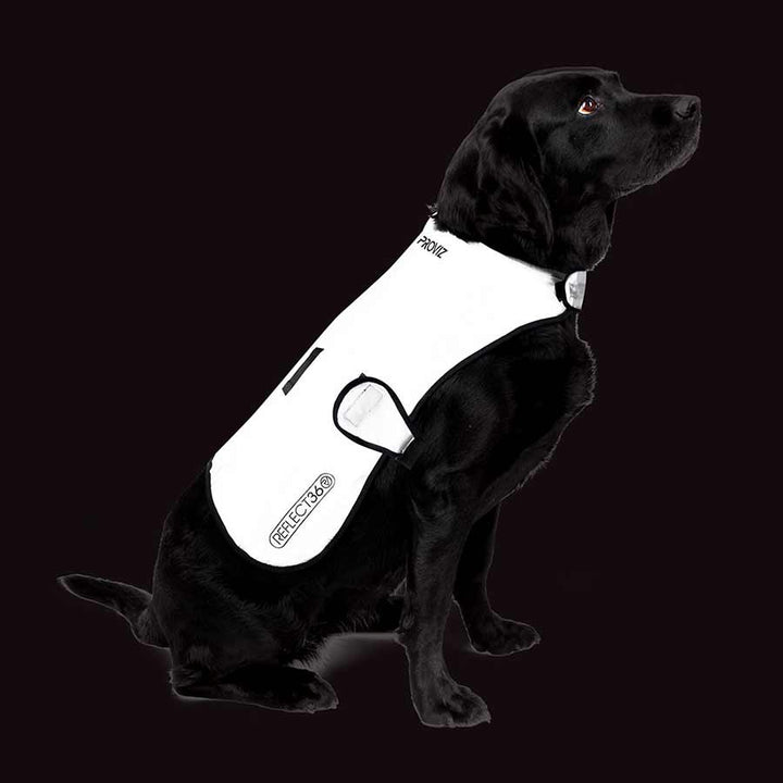 Proviz Dog Cover Silver S