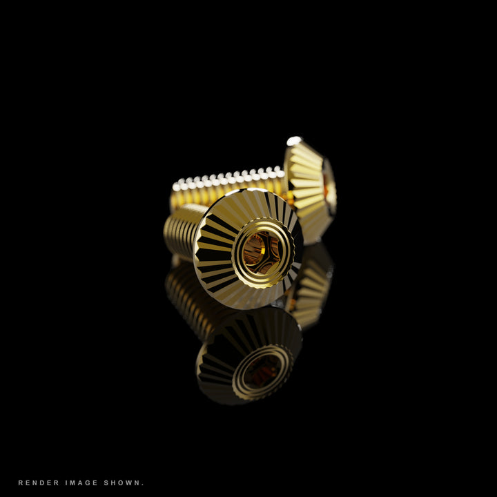 SLF  Titanium Bottle Cage Bolts