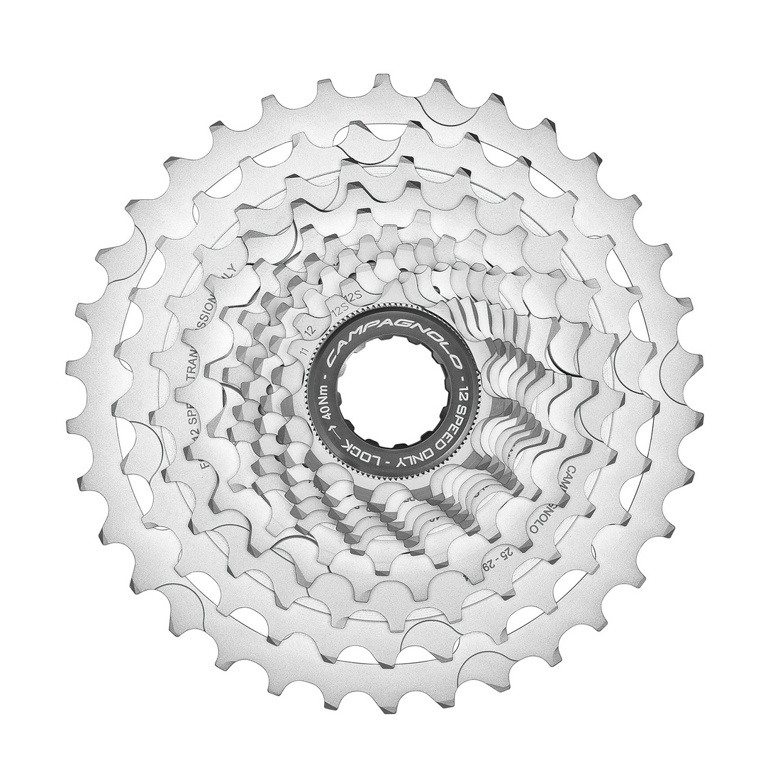 Chorus Disc Groupset