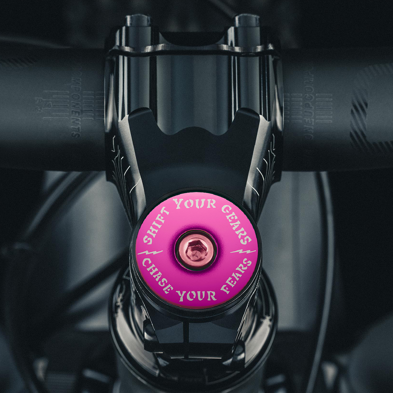 Chase Your Fears Go Fast Don't Die x Dispatch - Custom Bicycle Headset Cap
