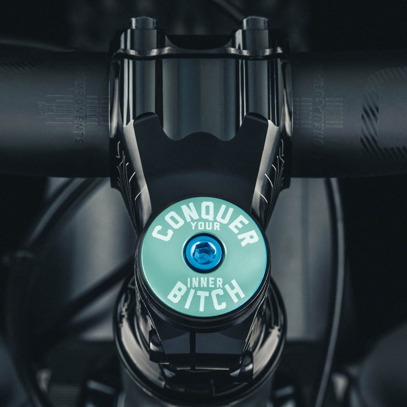 Conquer Your Inner Bitch Custom Bicycle Headset Cap