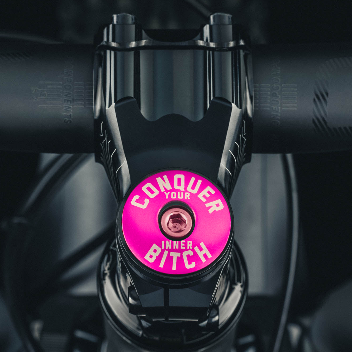 Conquer Your Inner Bitch Custom Bicycle Headset Cap
