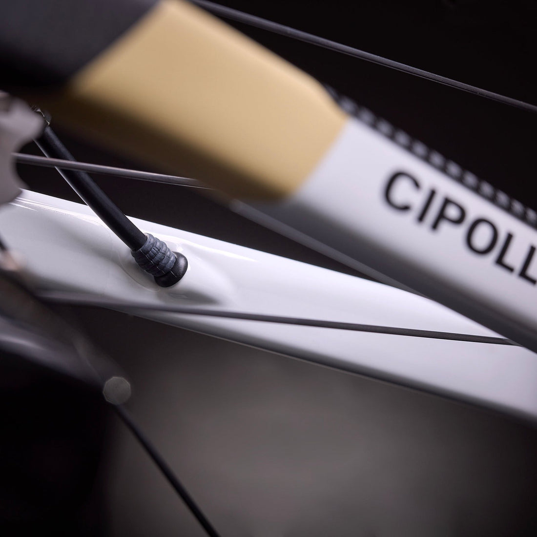 DOLOMIA Frameset
