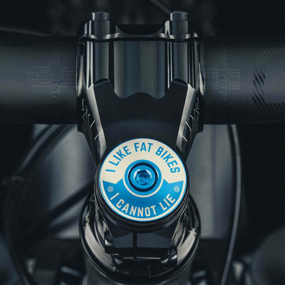 I Like Fat Bikes & I Cannot Lie Bicycle Headset Cap
