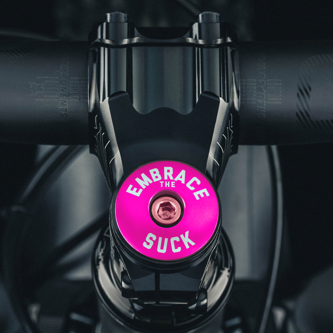Embrace The Suck - Bicycle Headset Cap