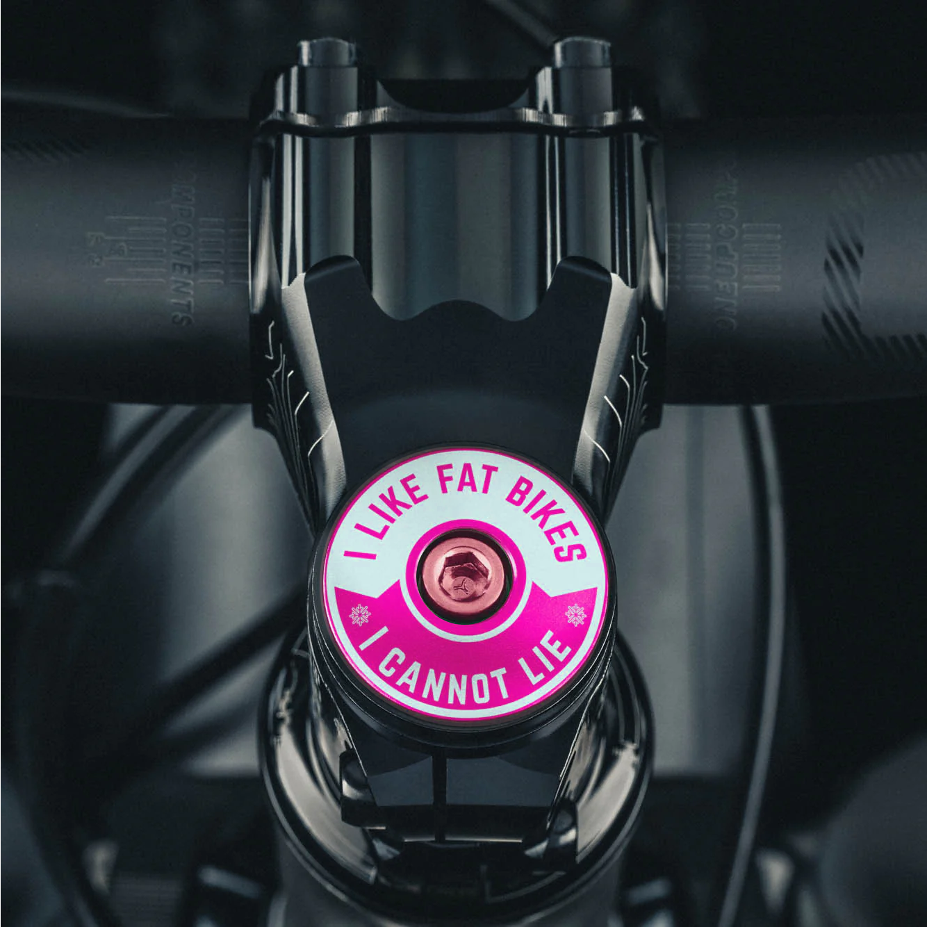 I Like Fat Bikes & I Cannot Lie Bicycle Headset Cap