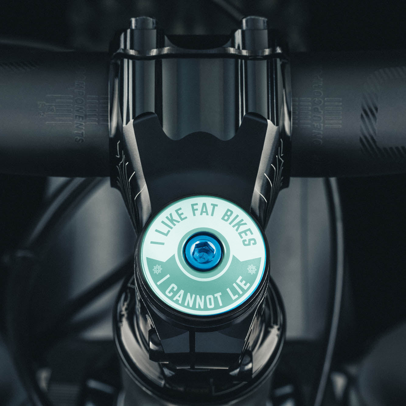 I Like Fat Bikes & I Cannot Lie Bicycle Headset Cap