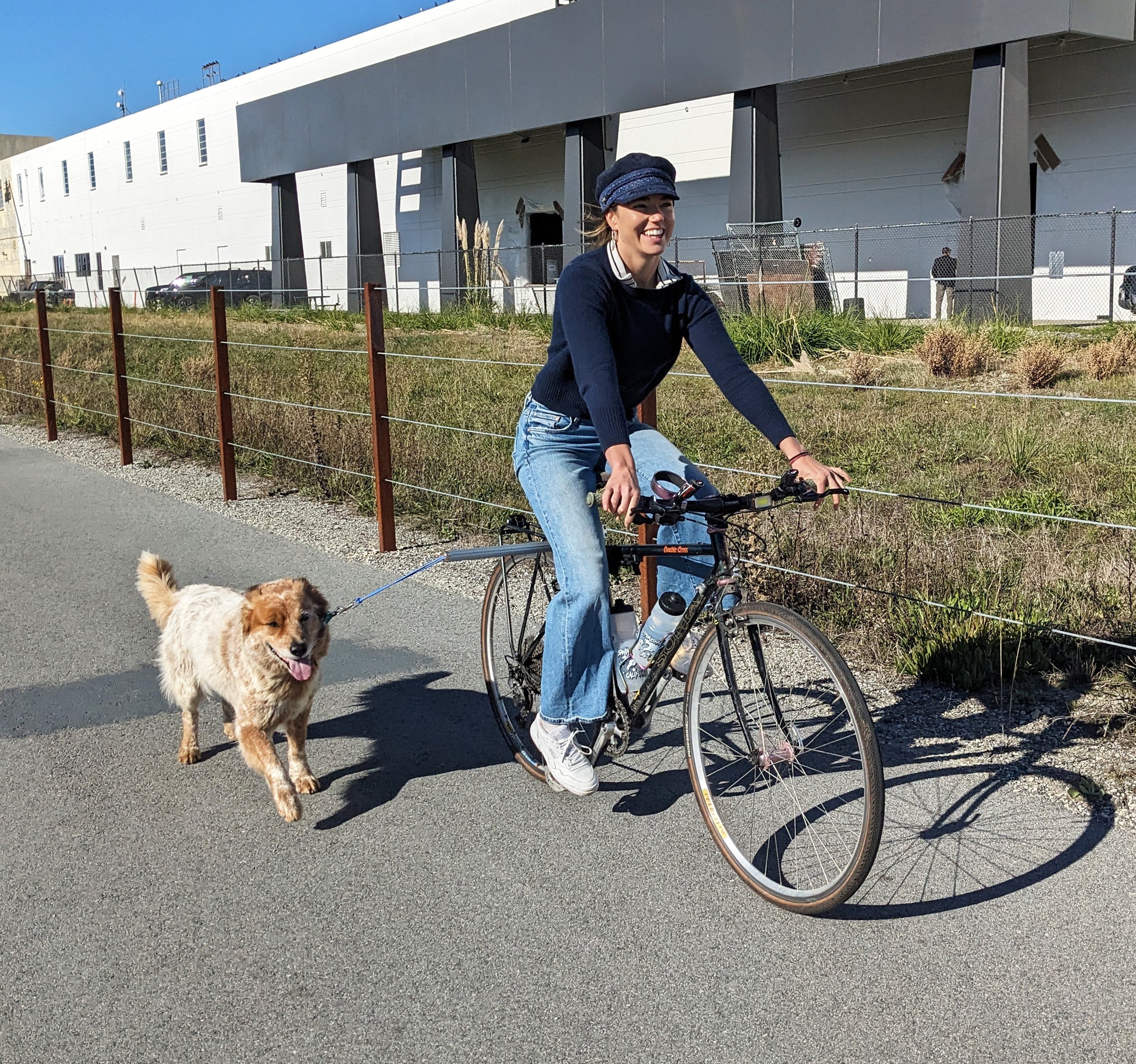 MBB Dog Runners