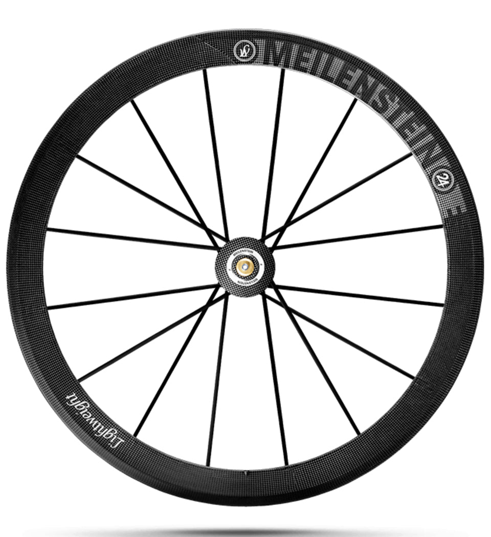 MEILENSTEIN EVO