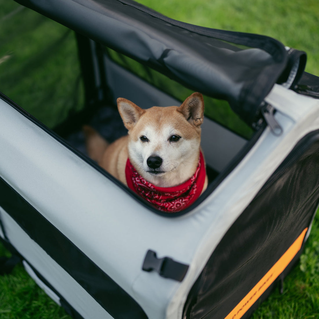 Rad Trailer Pet Insert