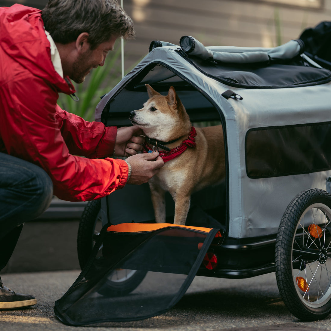Rad Trailer Pet Insert