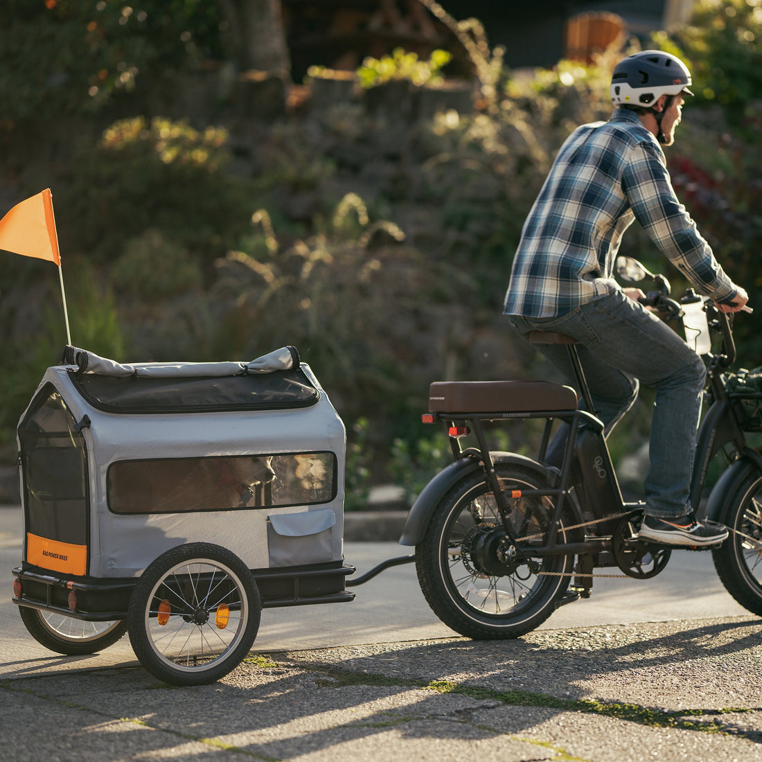 Rad Trailer Pet Insert