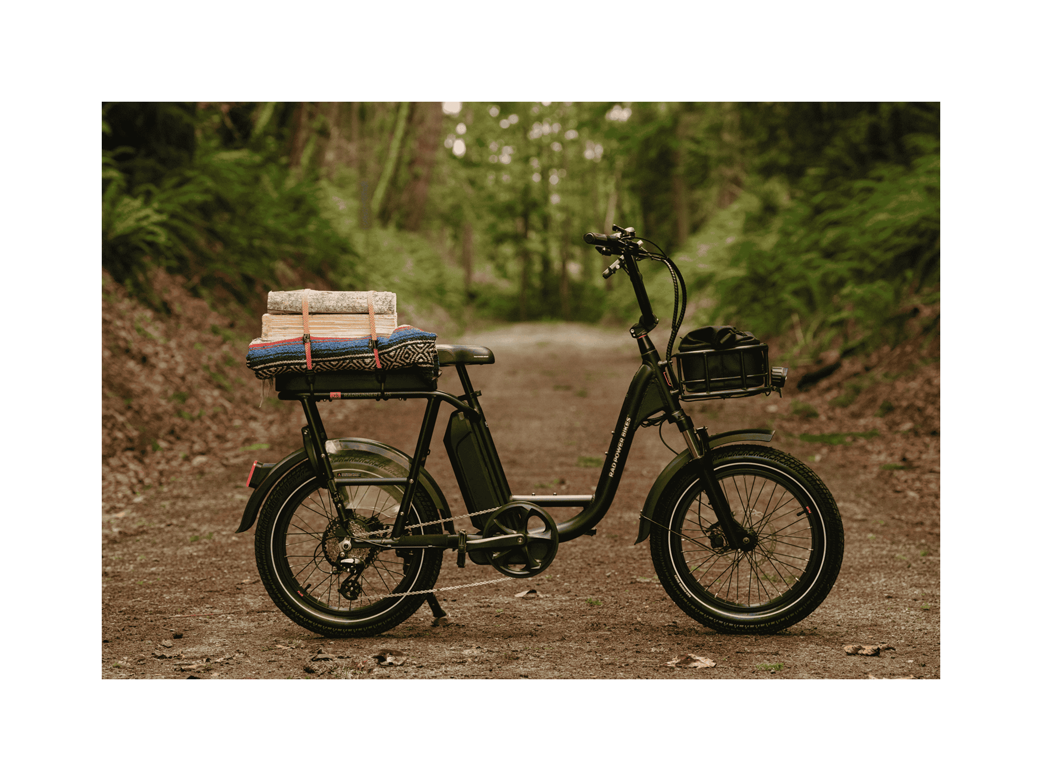 RadRunner™ Plus Electric Cargo Utility Bike