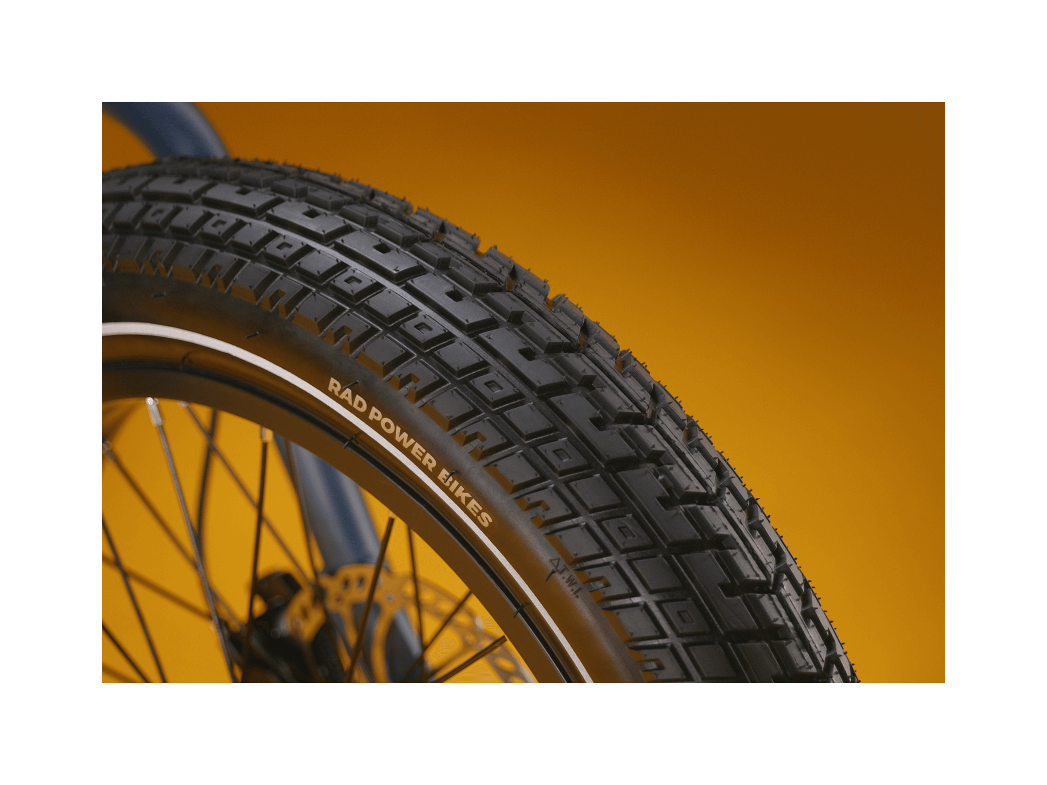 RadRunner™ Electric Cargo Utility Bike