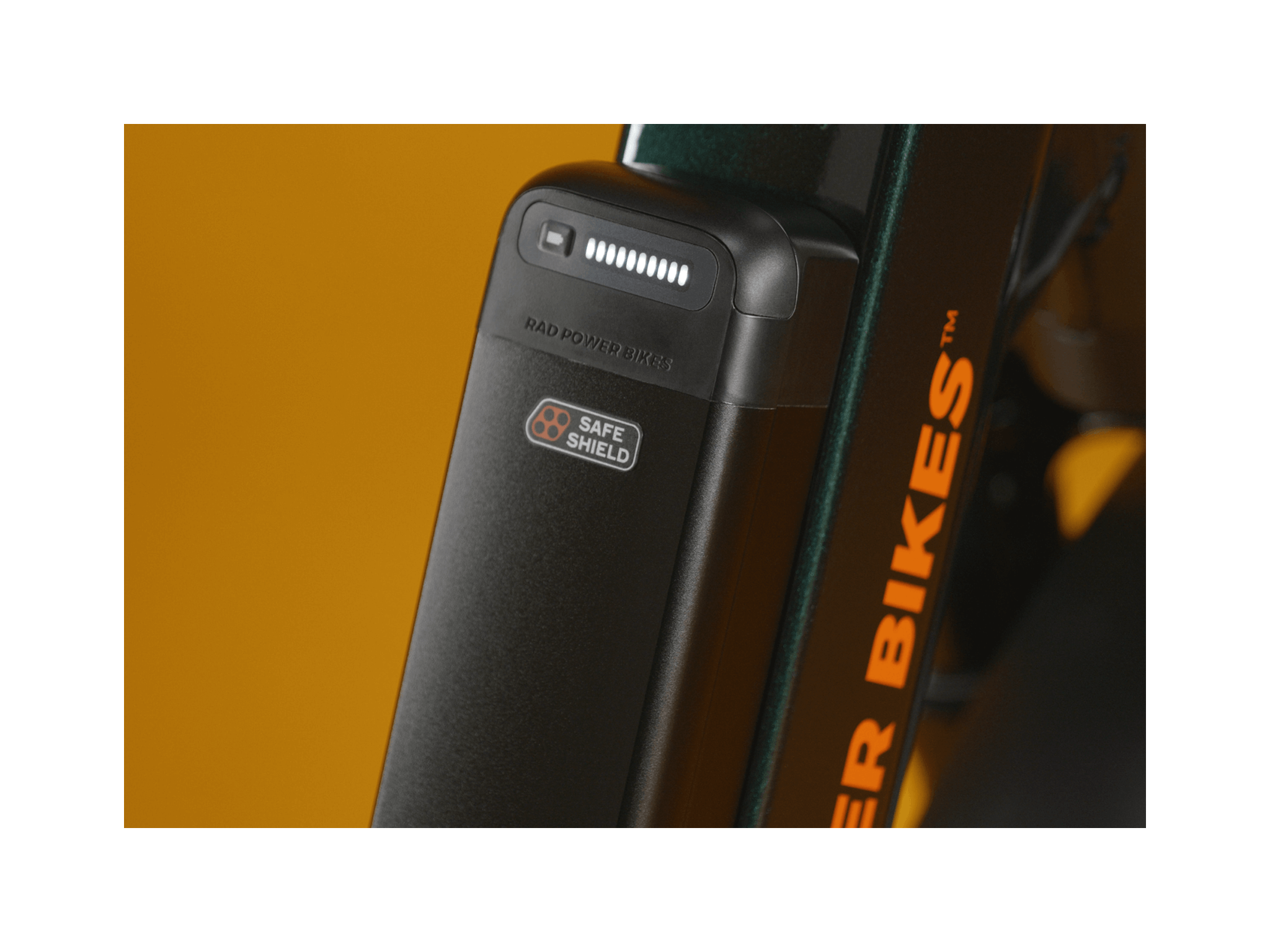 RadRunner™ Max Electric Cargo Utility Bike