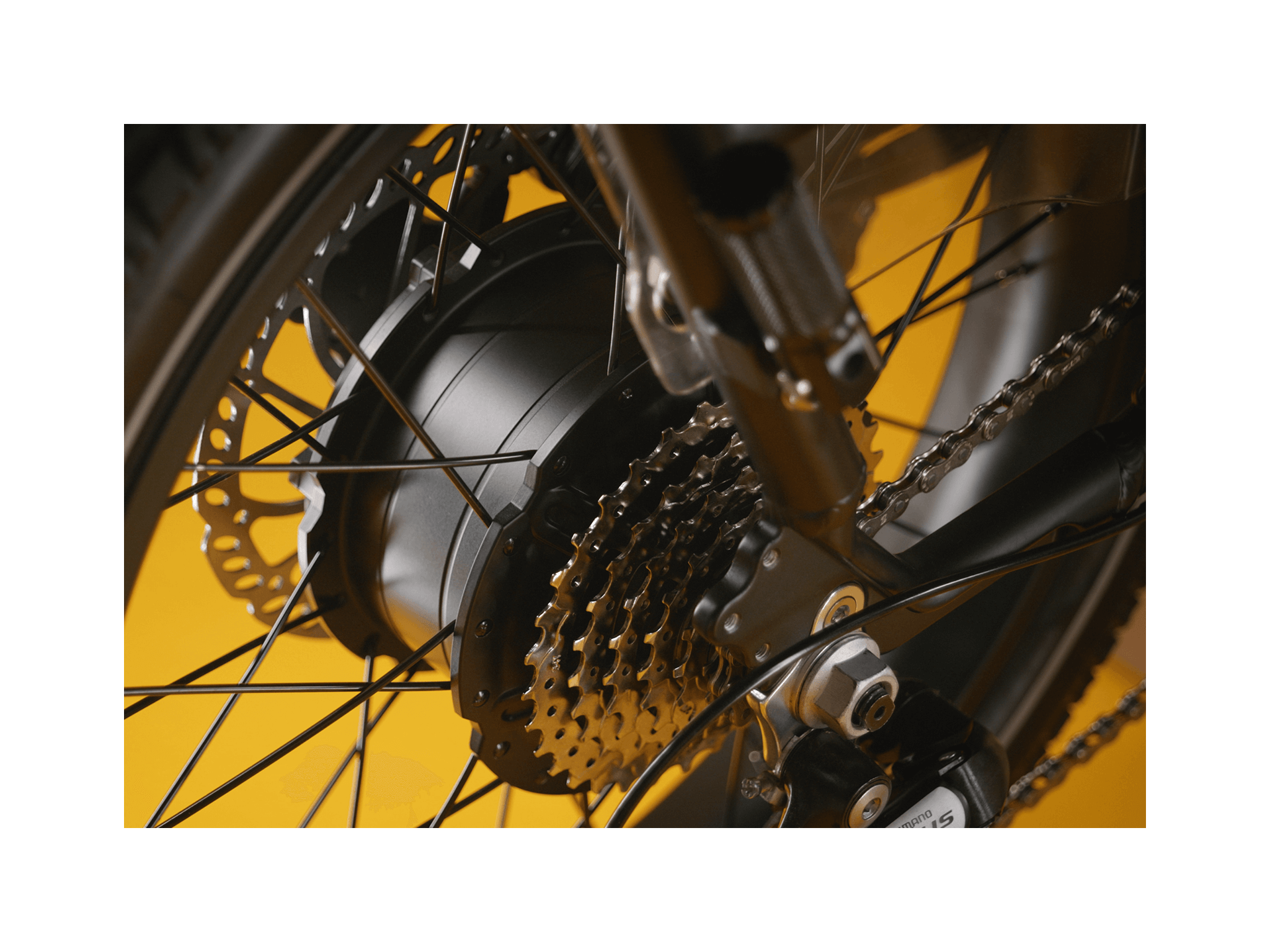 RadRunner™ Max Electric Cargo Utility Bike