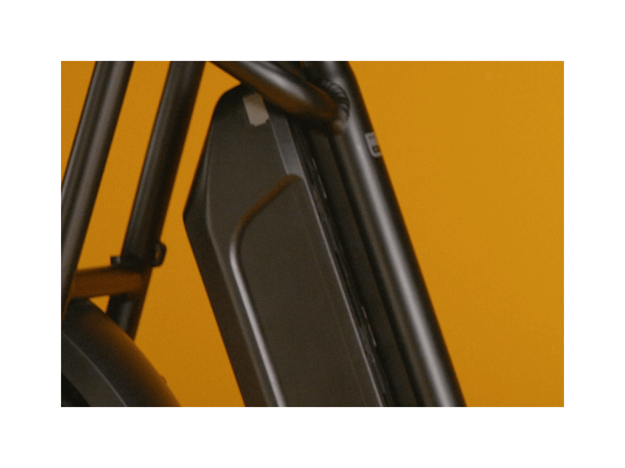 RadRunner™ Plus Electric Cargo Utility Bike