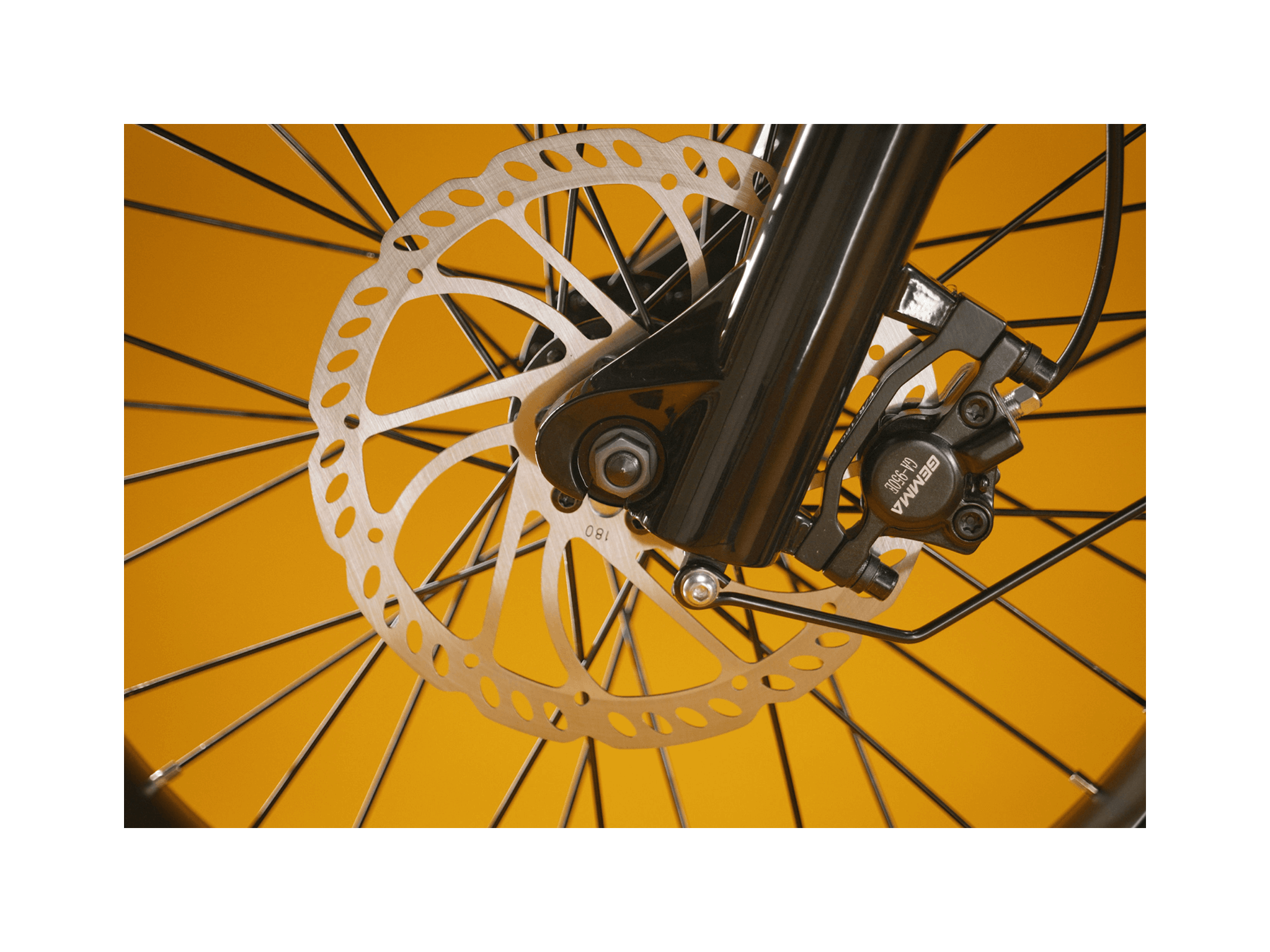 RadRunner™ Plus Electric Cargo Utility Bike