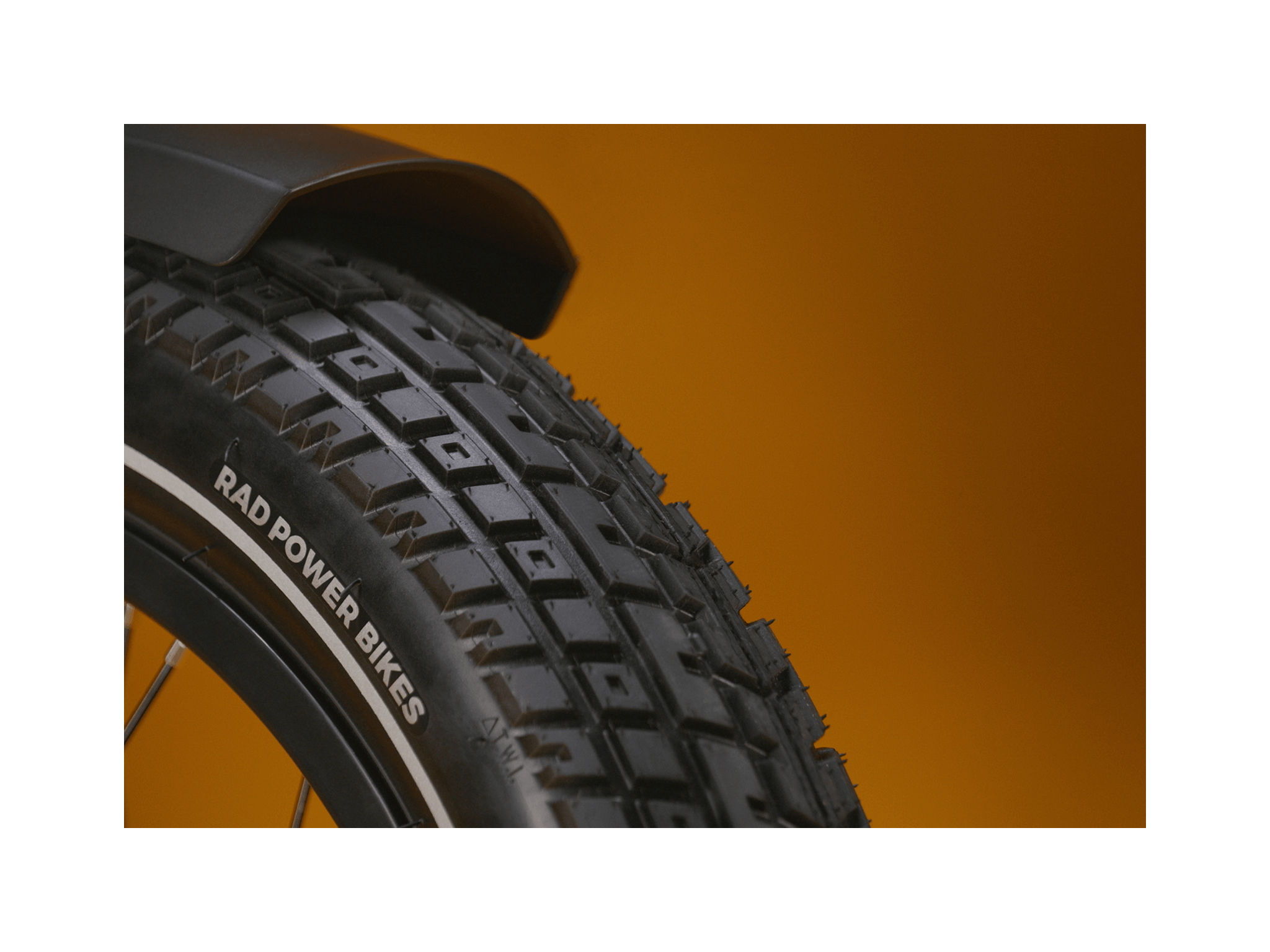 RadRunner™ Plus Electric Cargo Utility Bike