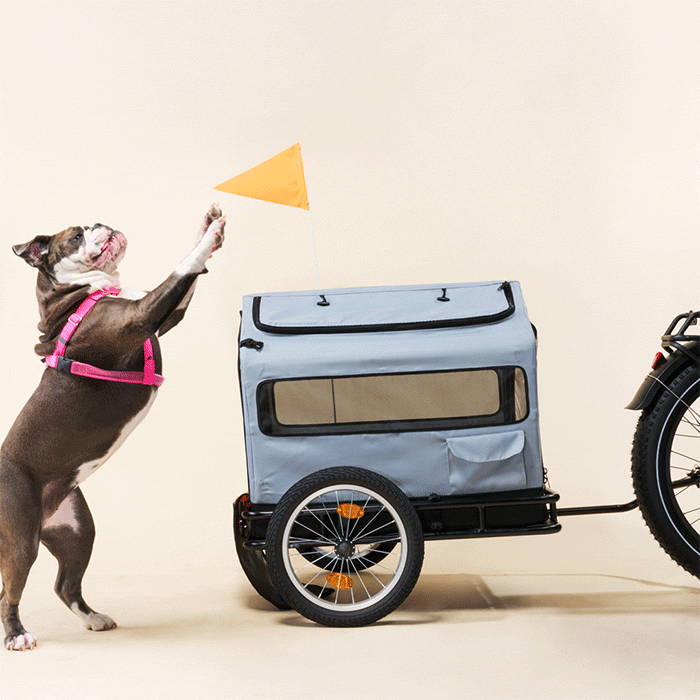 Rad Trailer Pet Insert