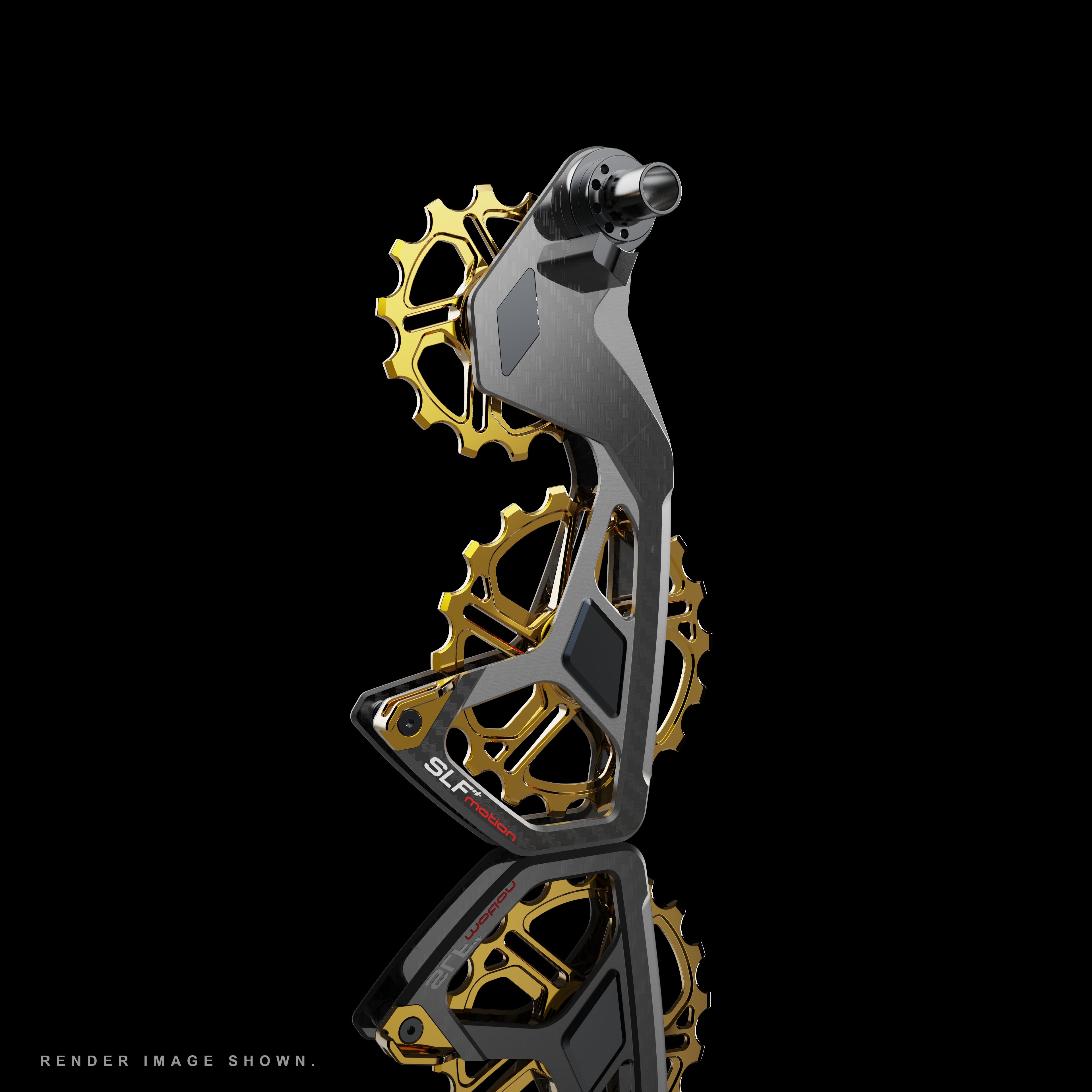 SLF Speed System Campagnolo