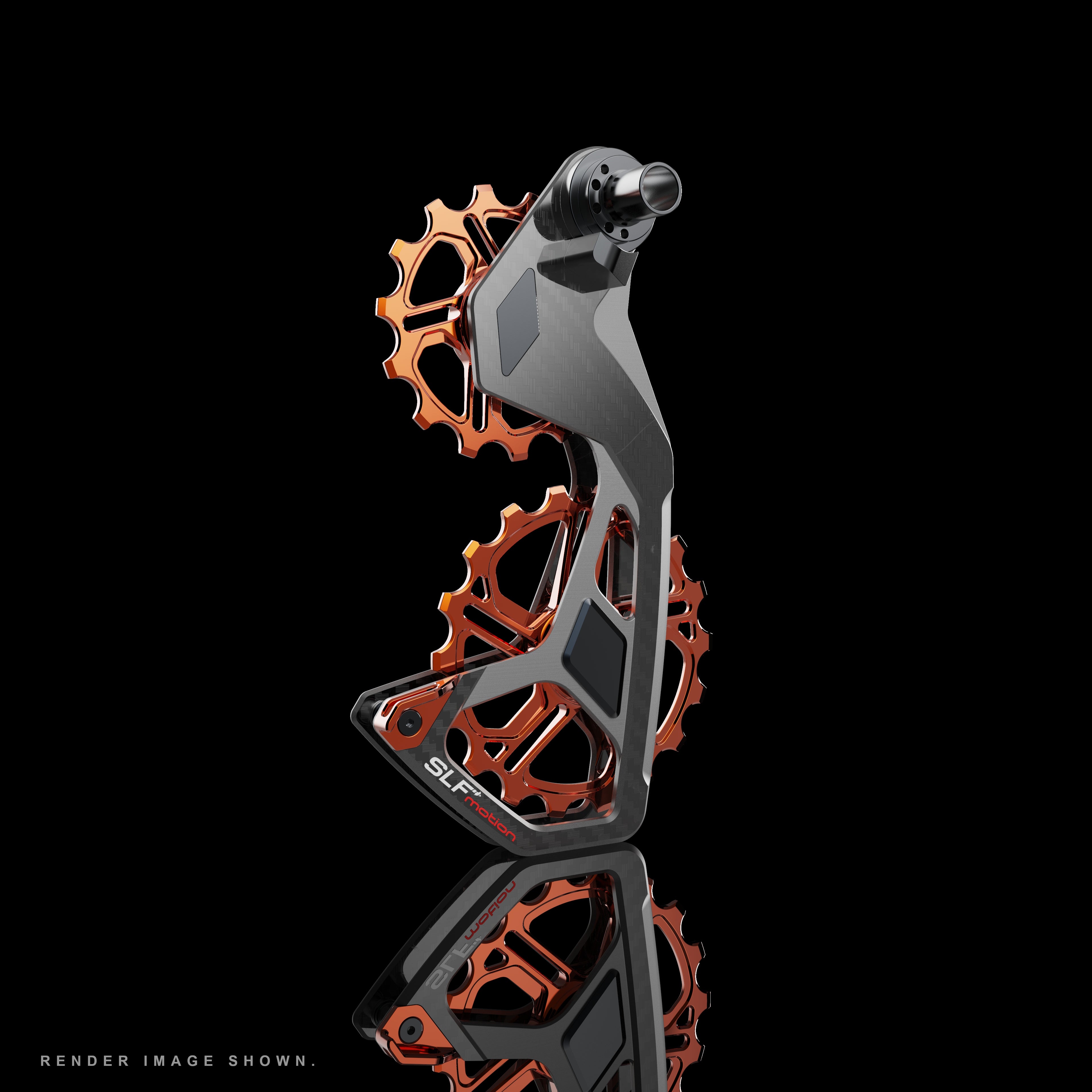 SLF Speed System Campagnolo