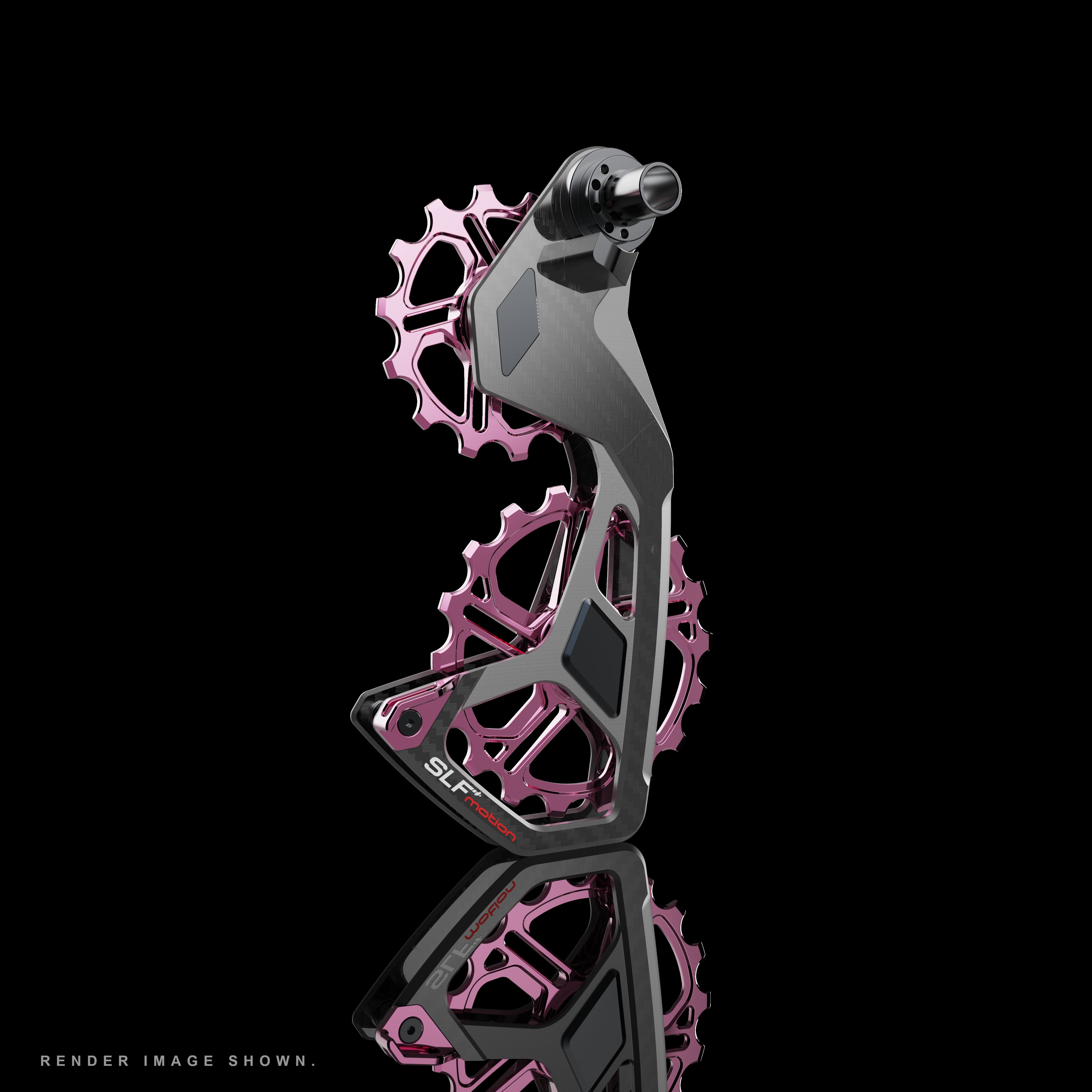 SLF Speed System Campagnolo