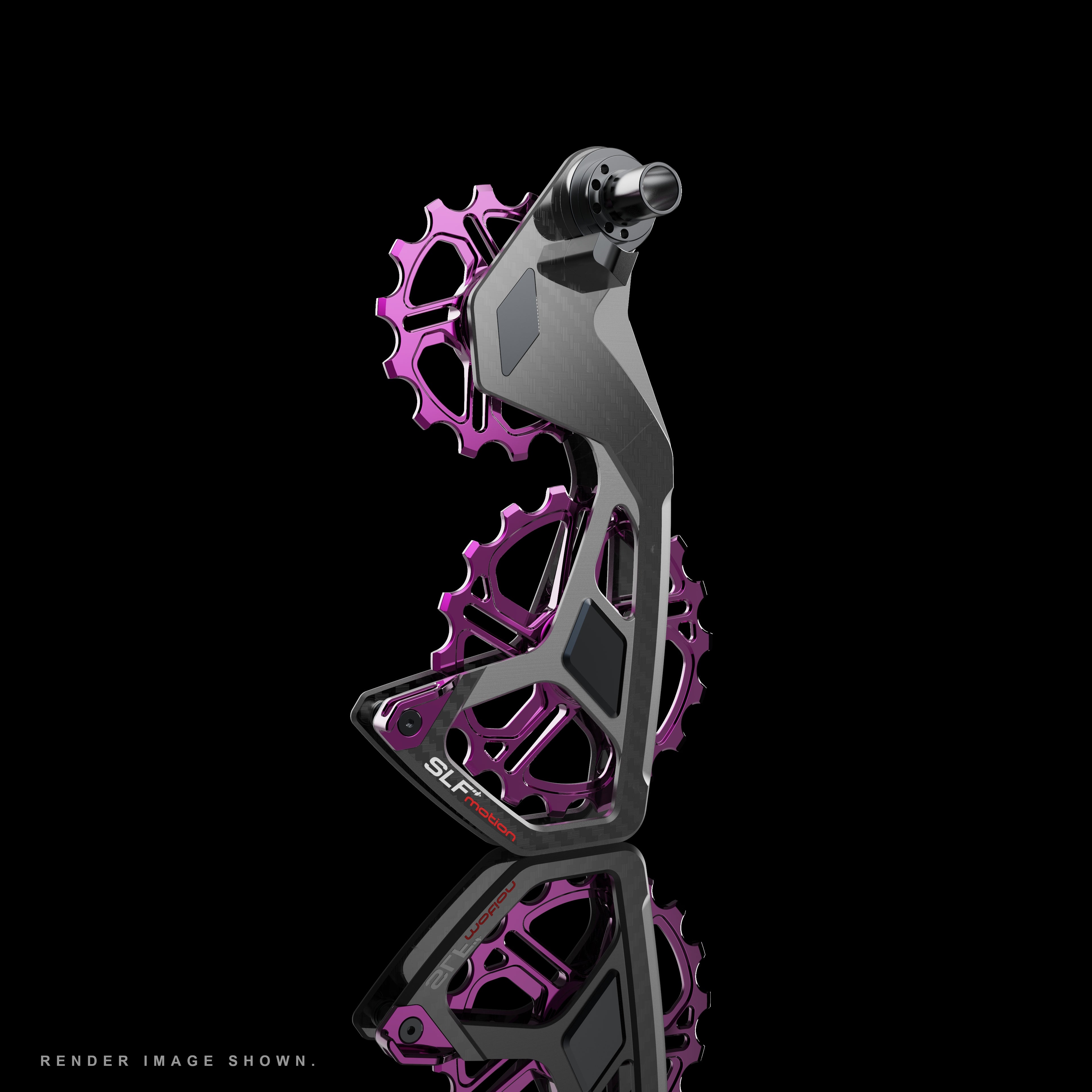 SLF Speed System Campagnolo