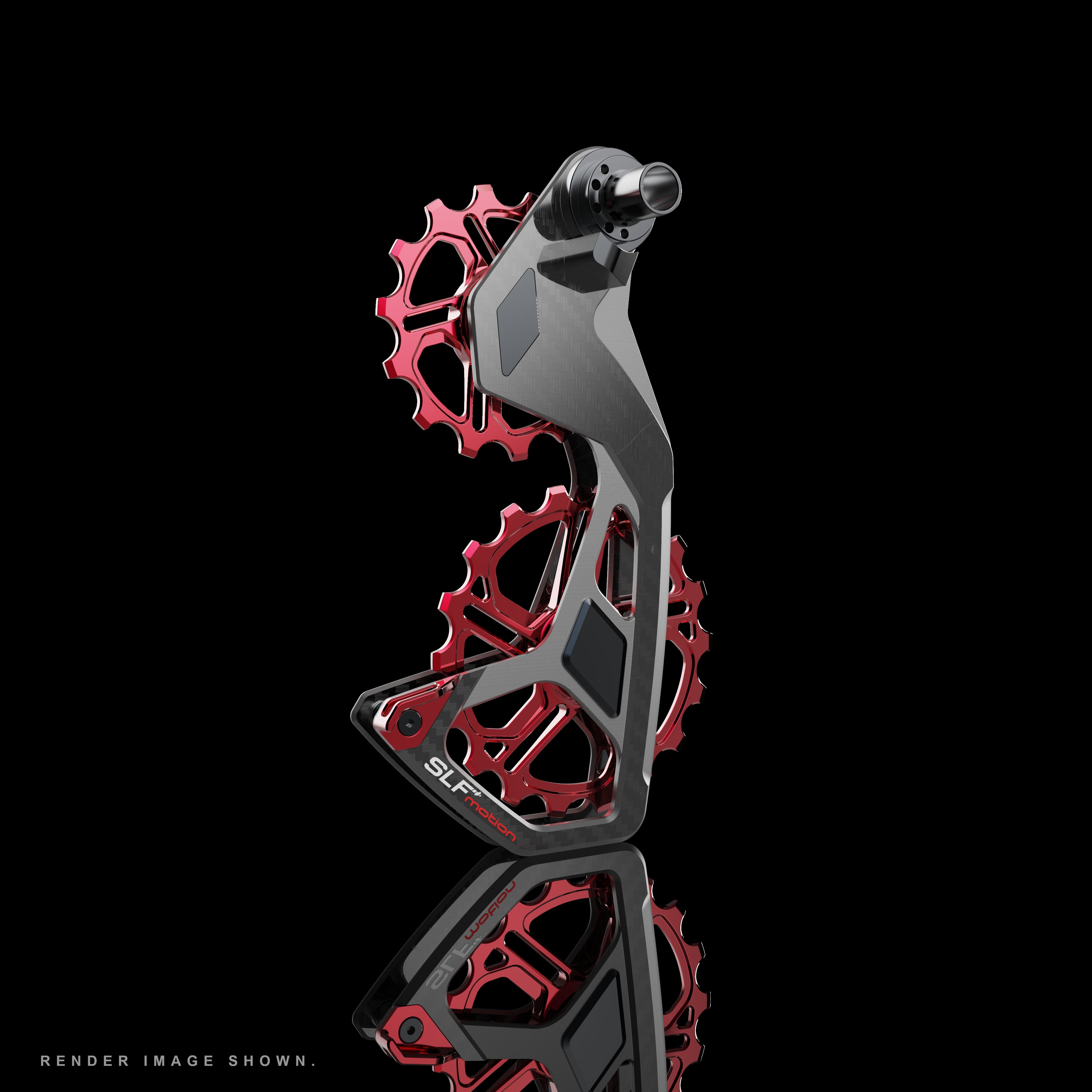 SLF Speed System Campagnolo