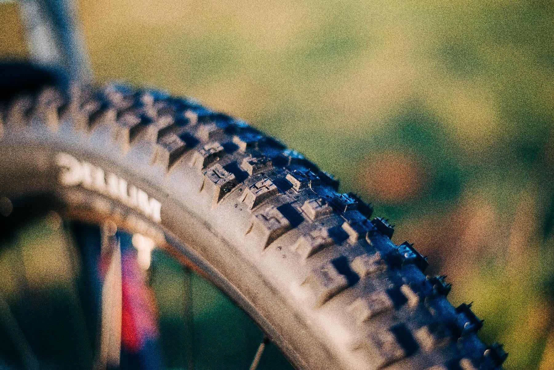 Steady MTB Tire