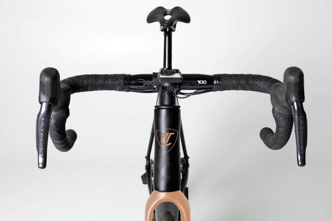 Dynamica R