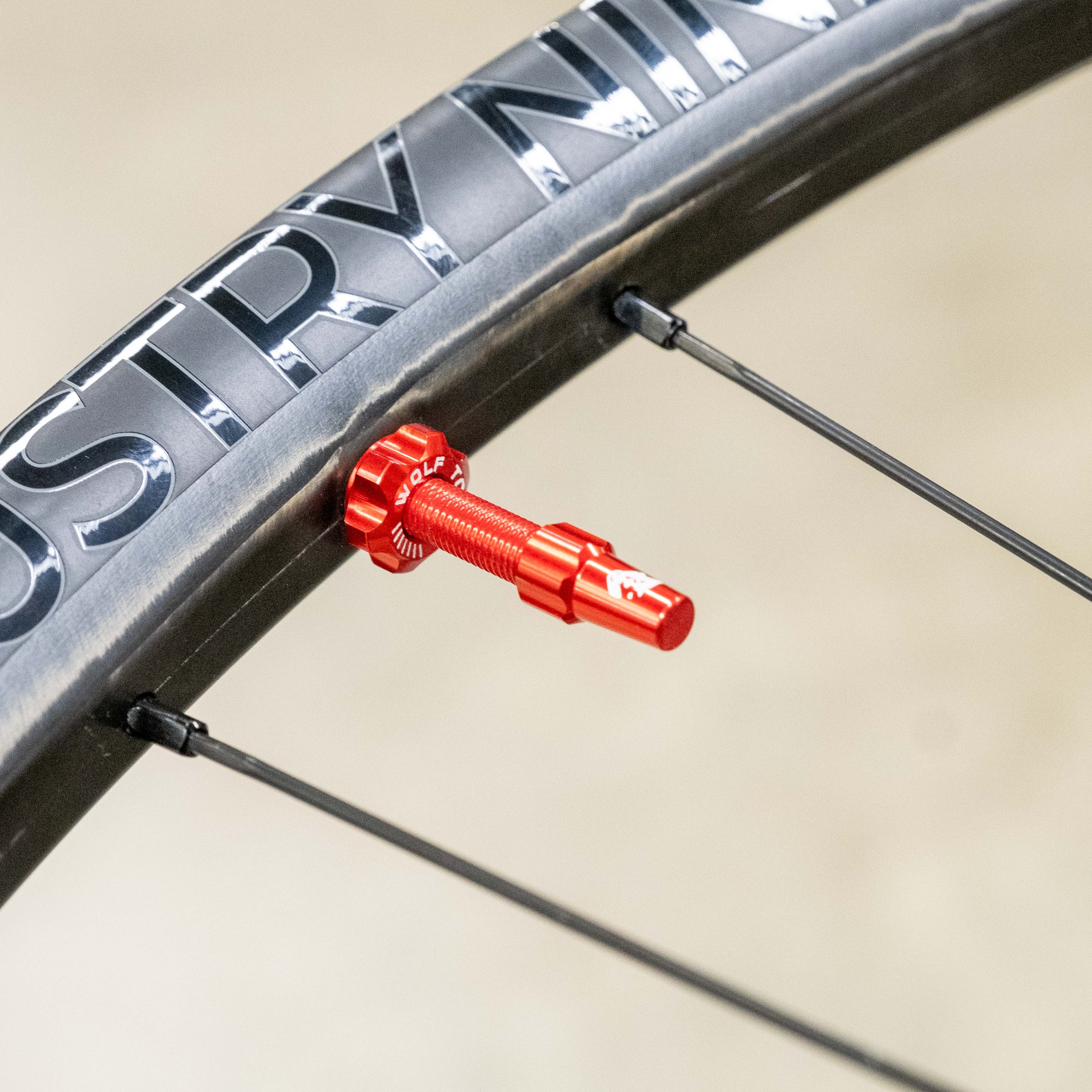 Tubeless Presta Valve Stem Kit