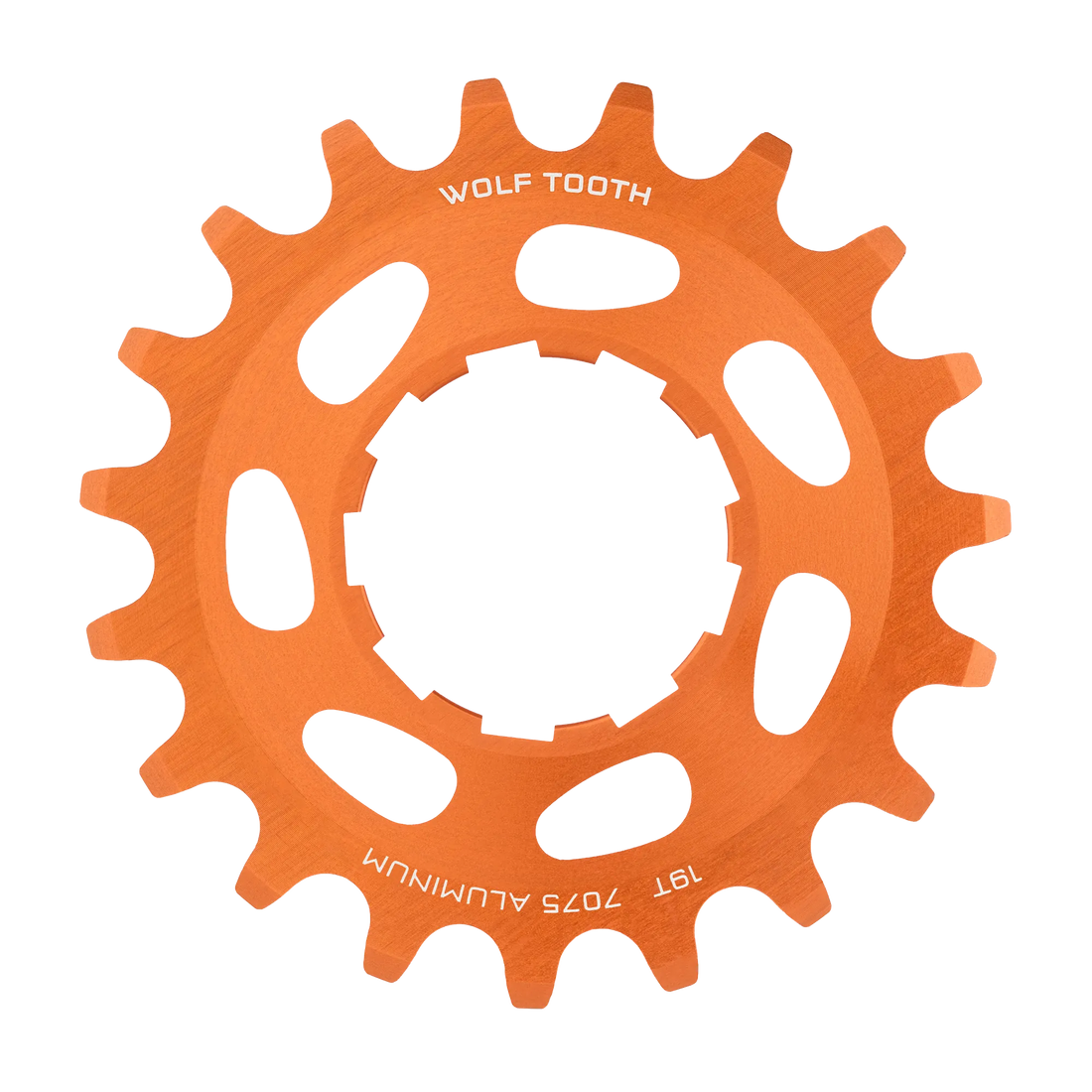 Aluminum Single Speed Cog