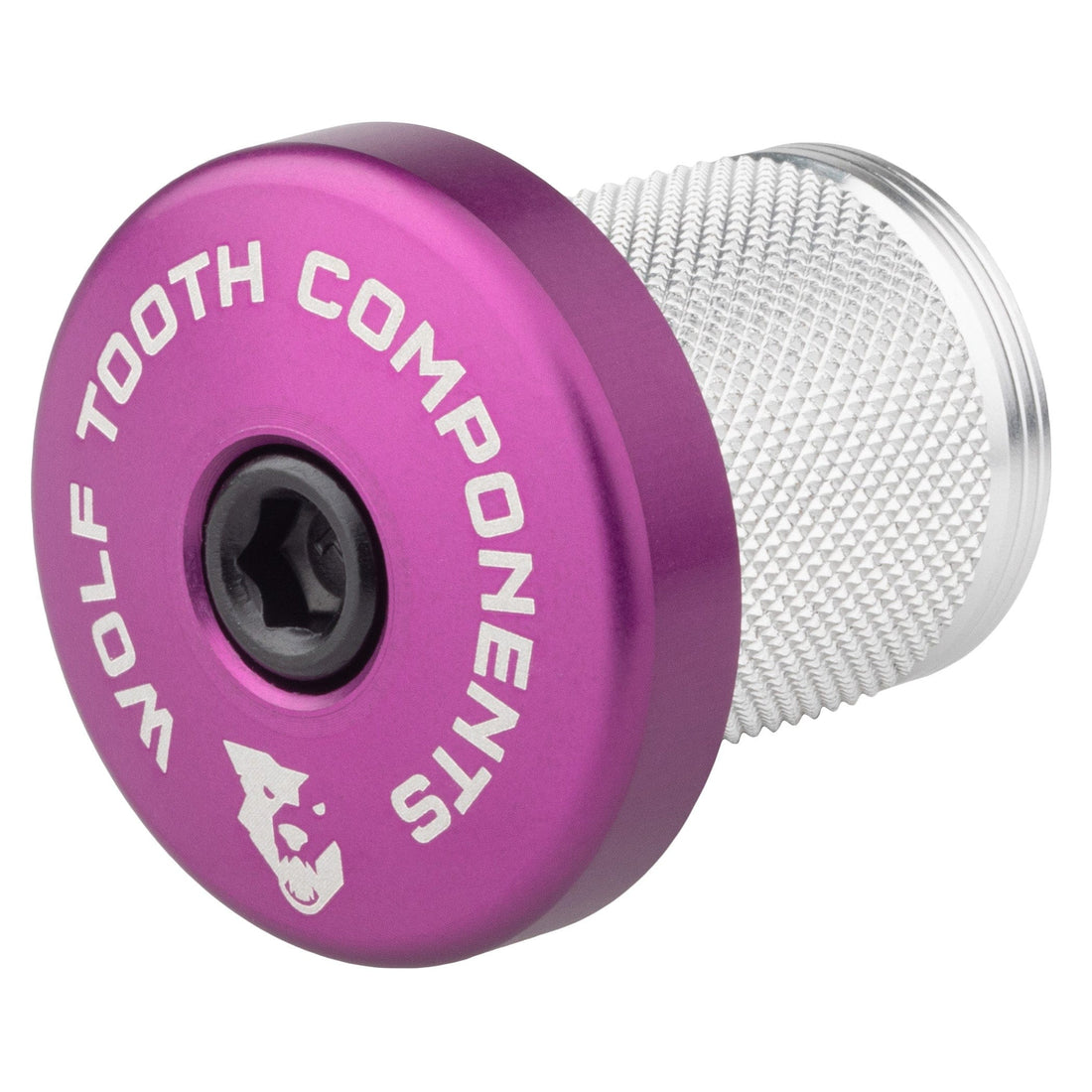 Compression Plug with Integrated Spacer Stem Cap