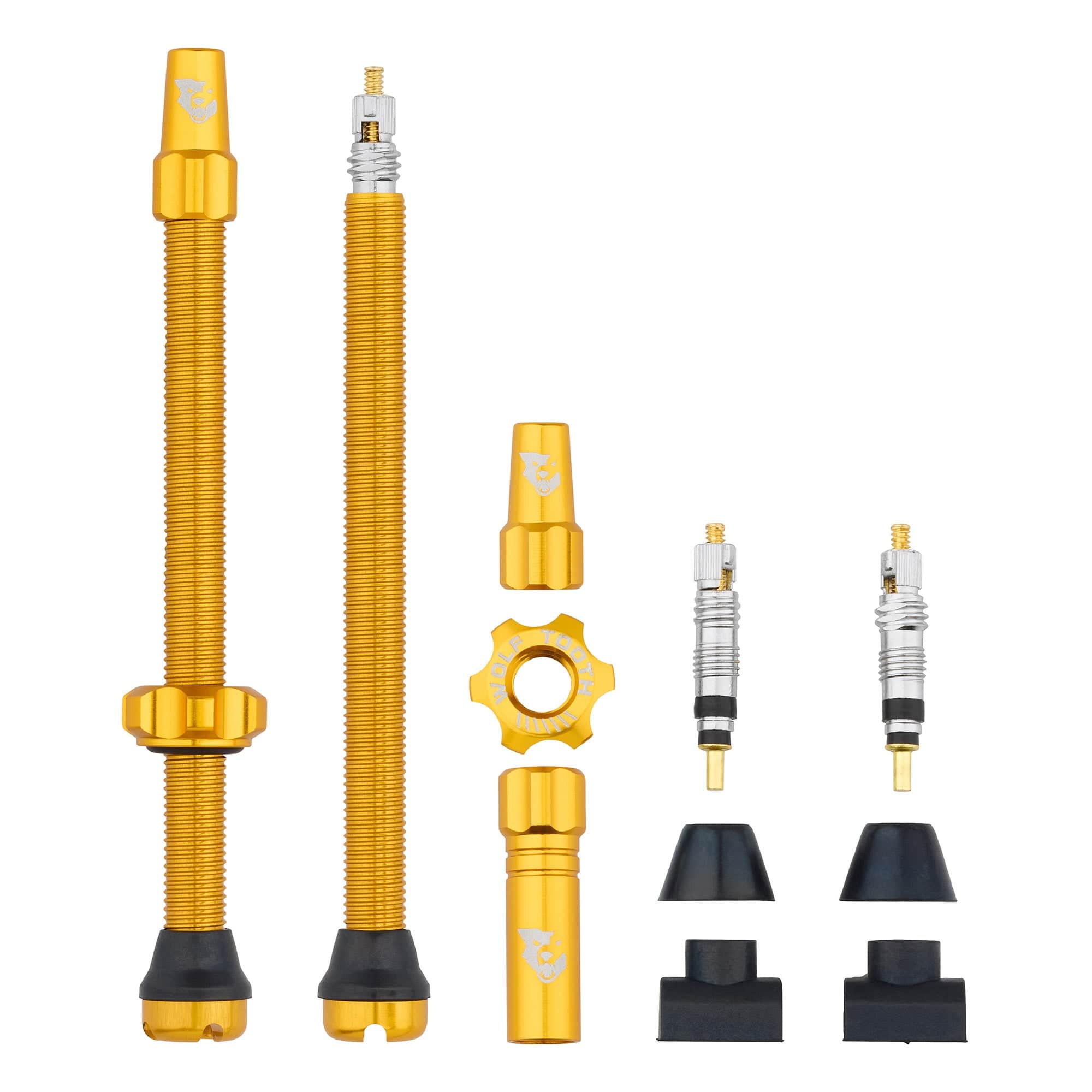 Tubeless Presta Valve Stem Kit