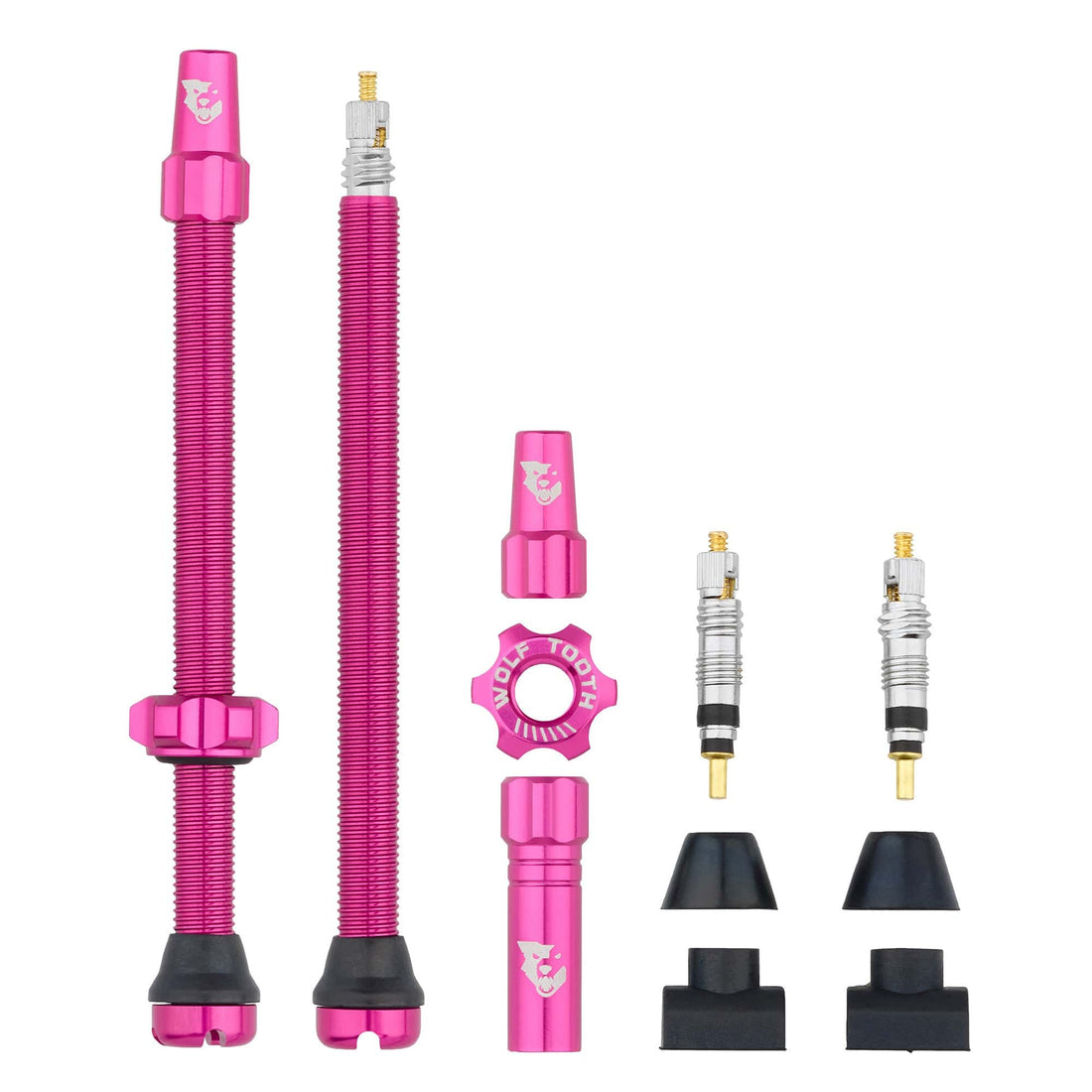 Tubeless Presta Valve Stem Kit