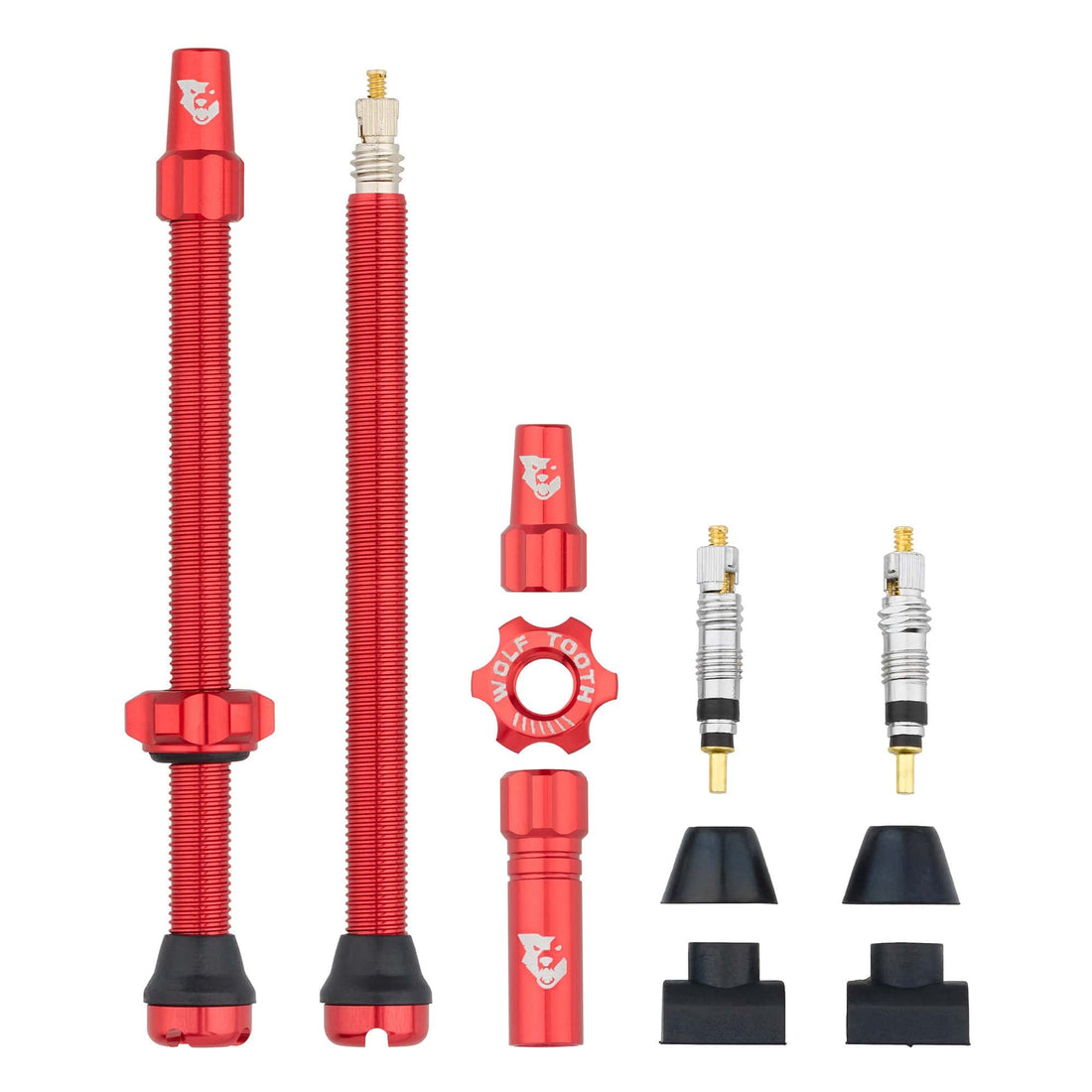 Tubeless Presta Valve Stem Kit