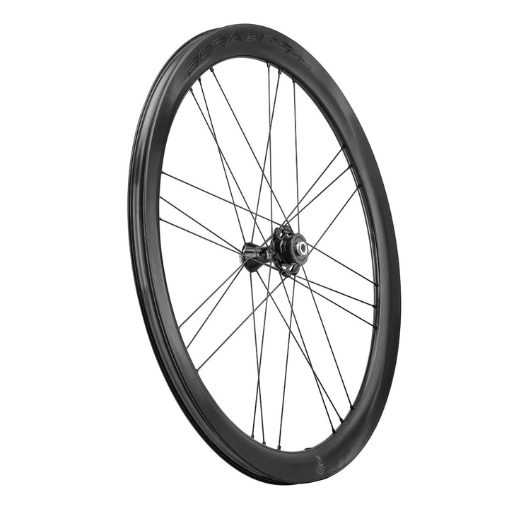 Bora WTO45 Disc