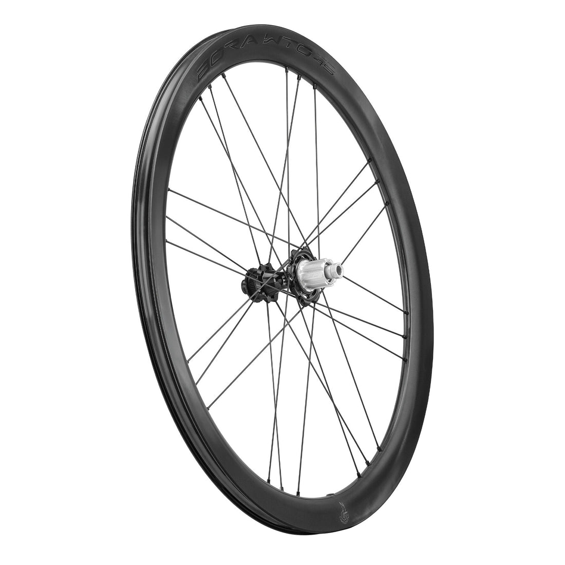 Bora WTO45 Disc