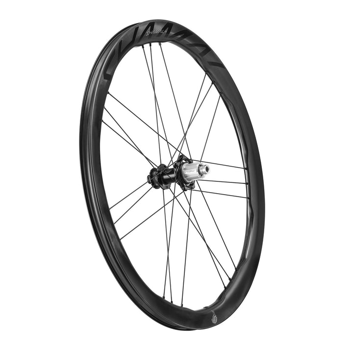 Shamal Carbon Disc