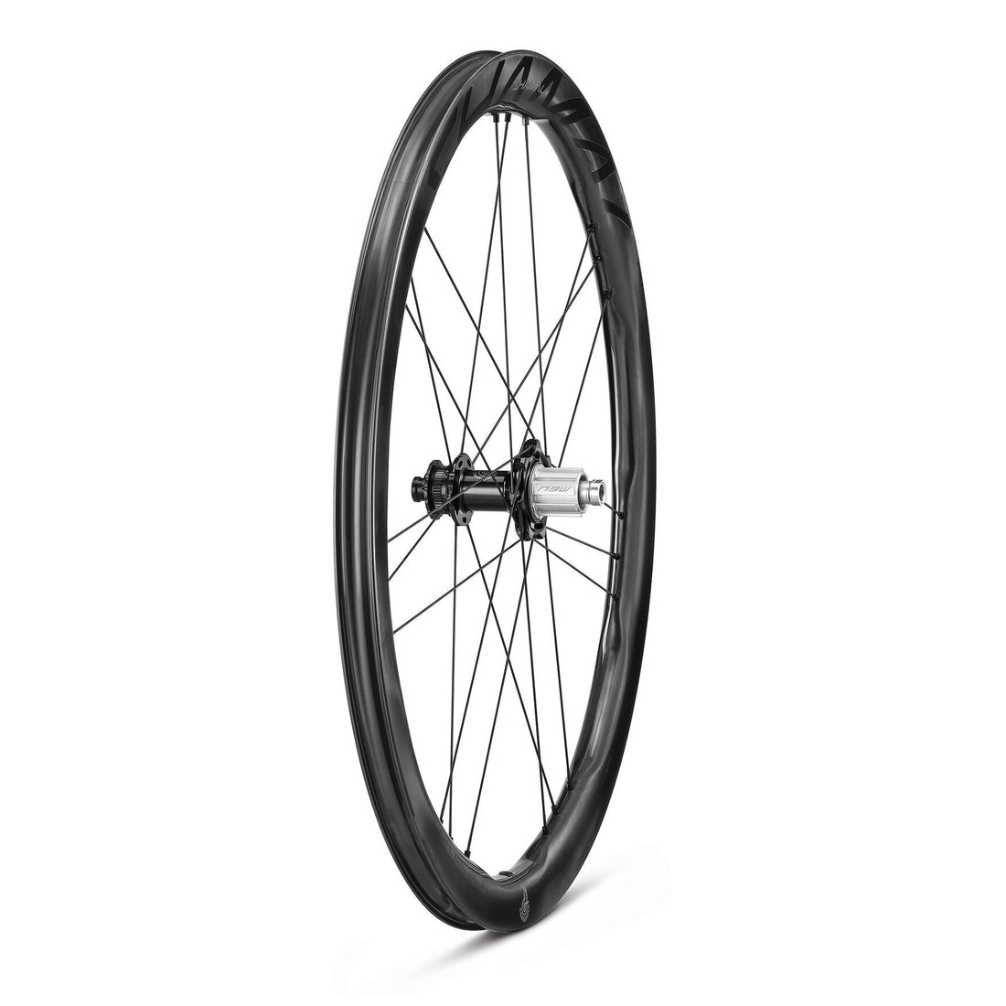 Shamal Carbon Disc