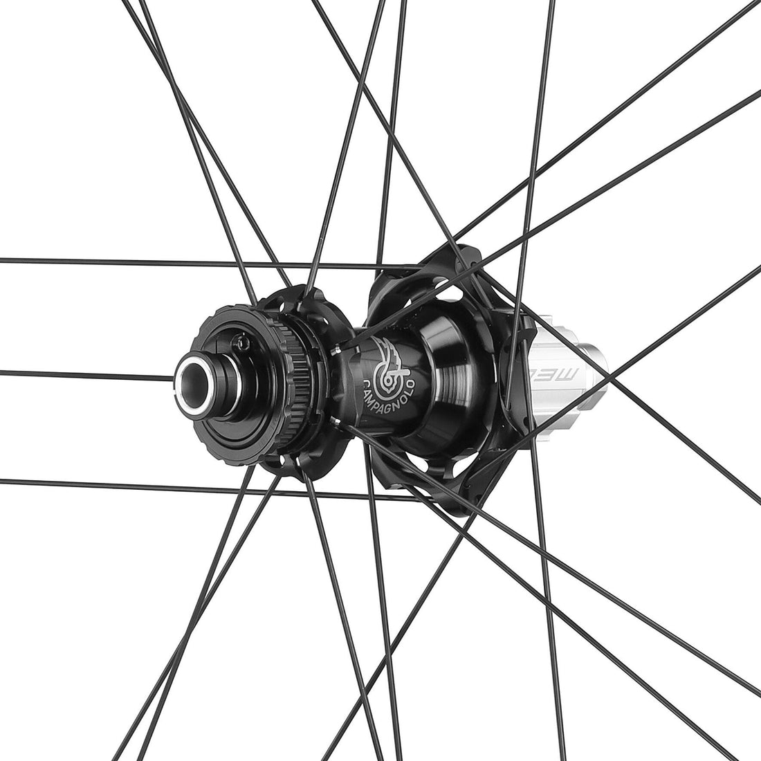 Shamal Carbon Disc