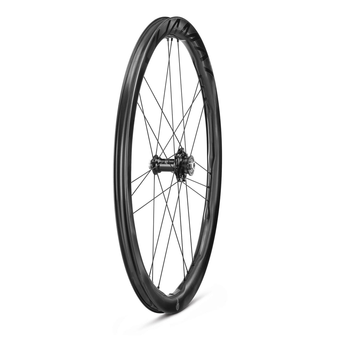 Shamal Carbon Disc