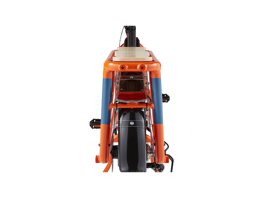 RadWagon™ 4 Electric Cargo Bike