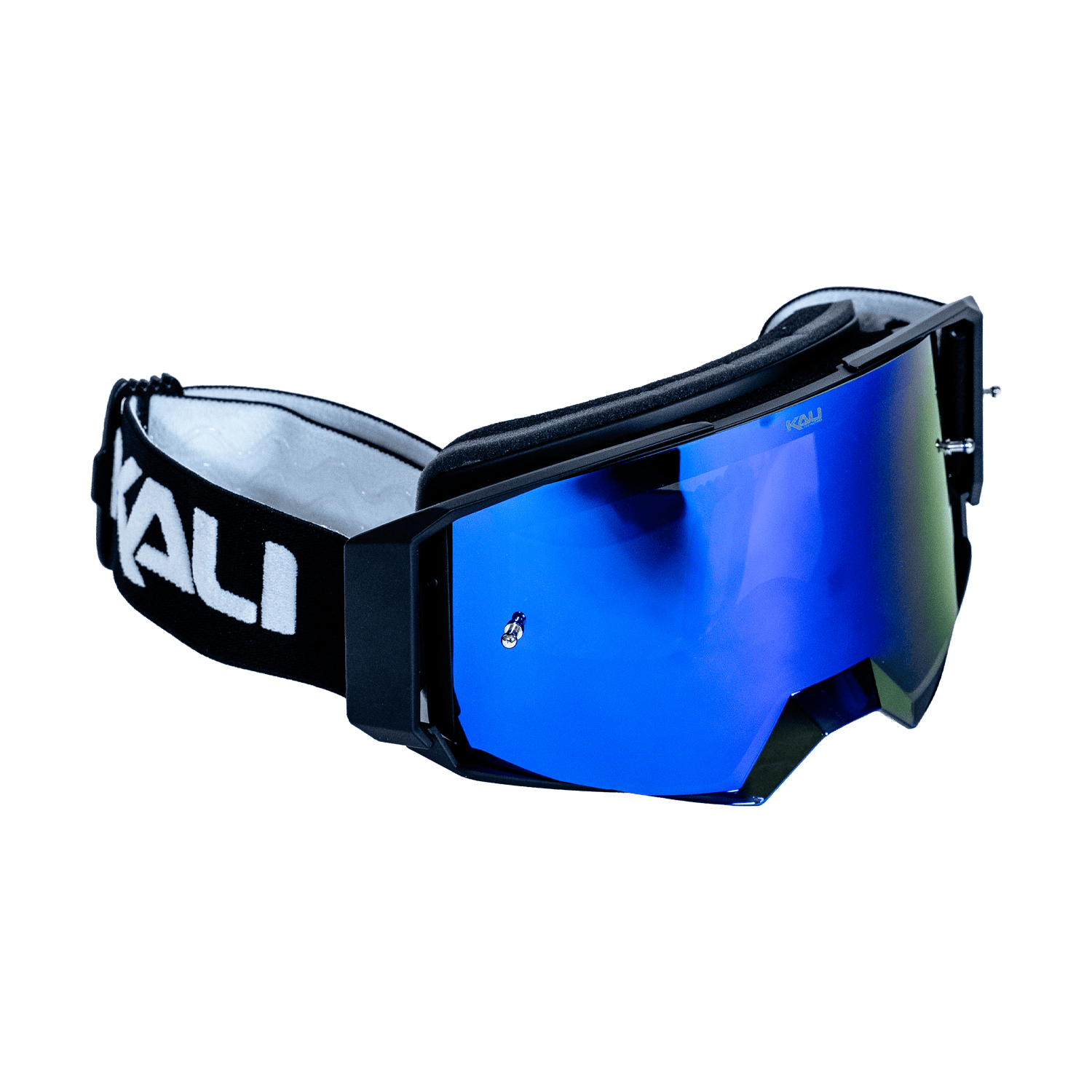 Metcalf Goggle