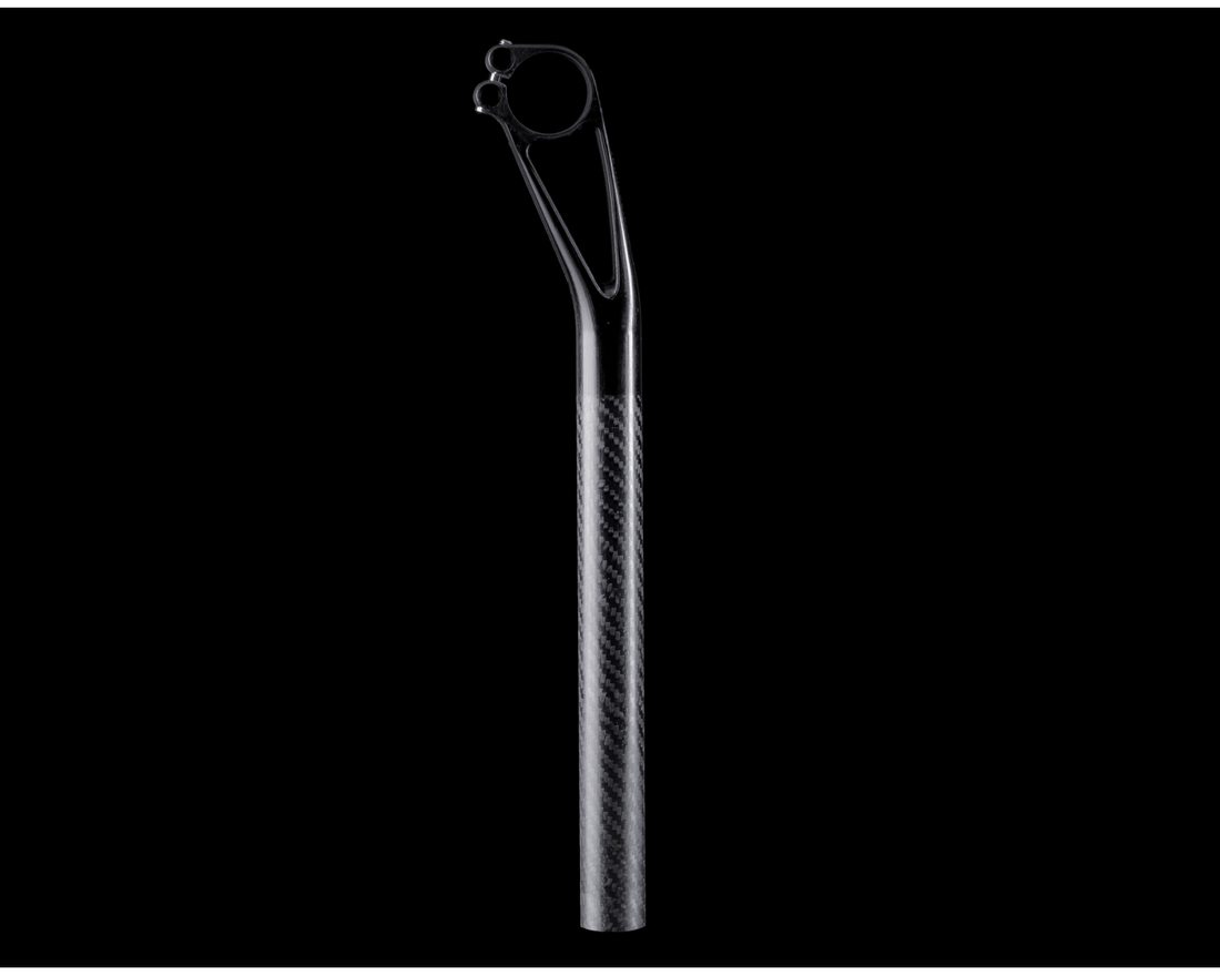 MANDIBULA